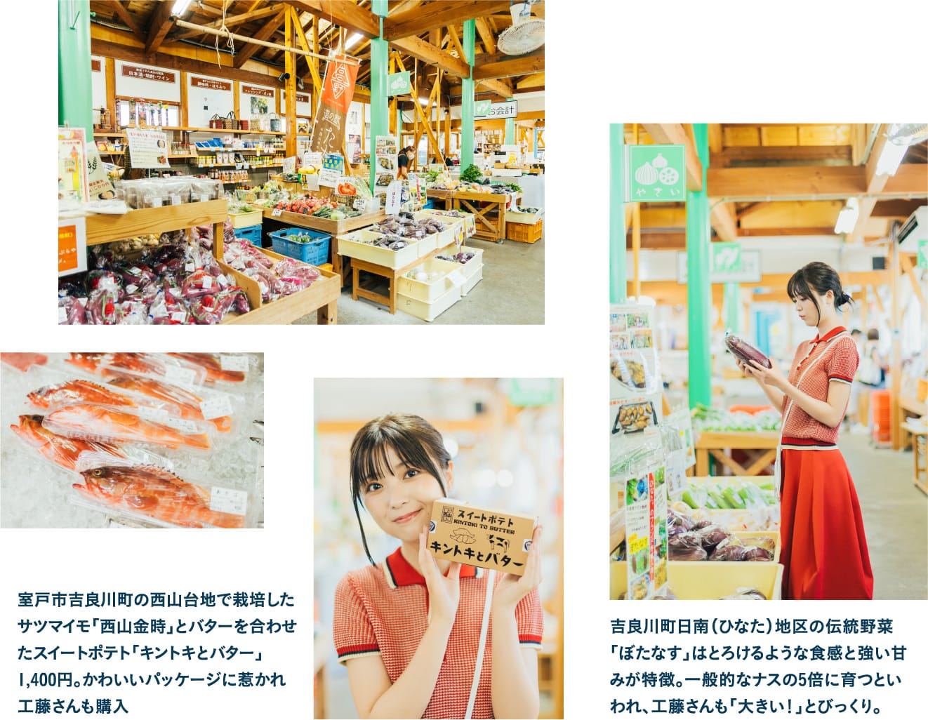 キラメッセ室戸 楽市 お土産探し