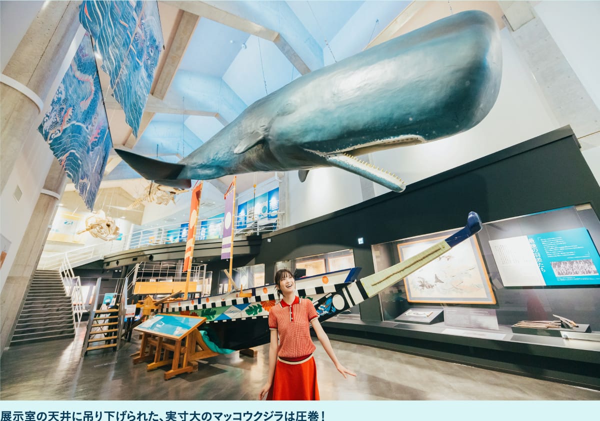 キラメッセ室戸 鯨館