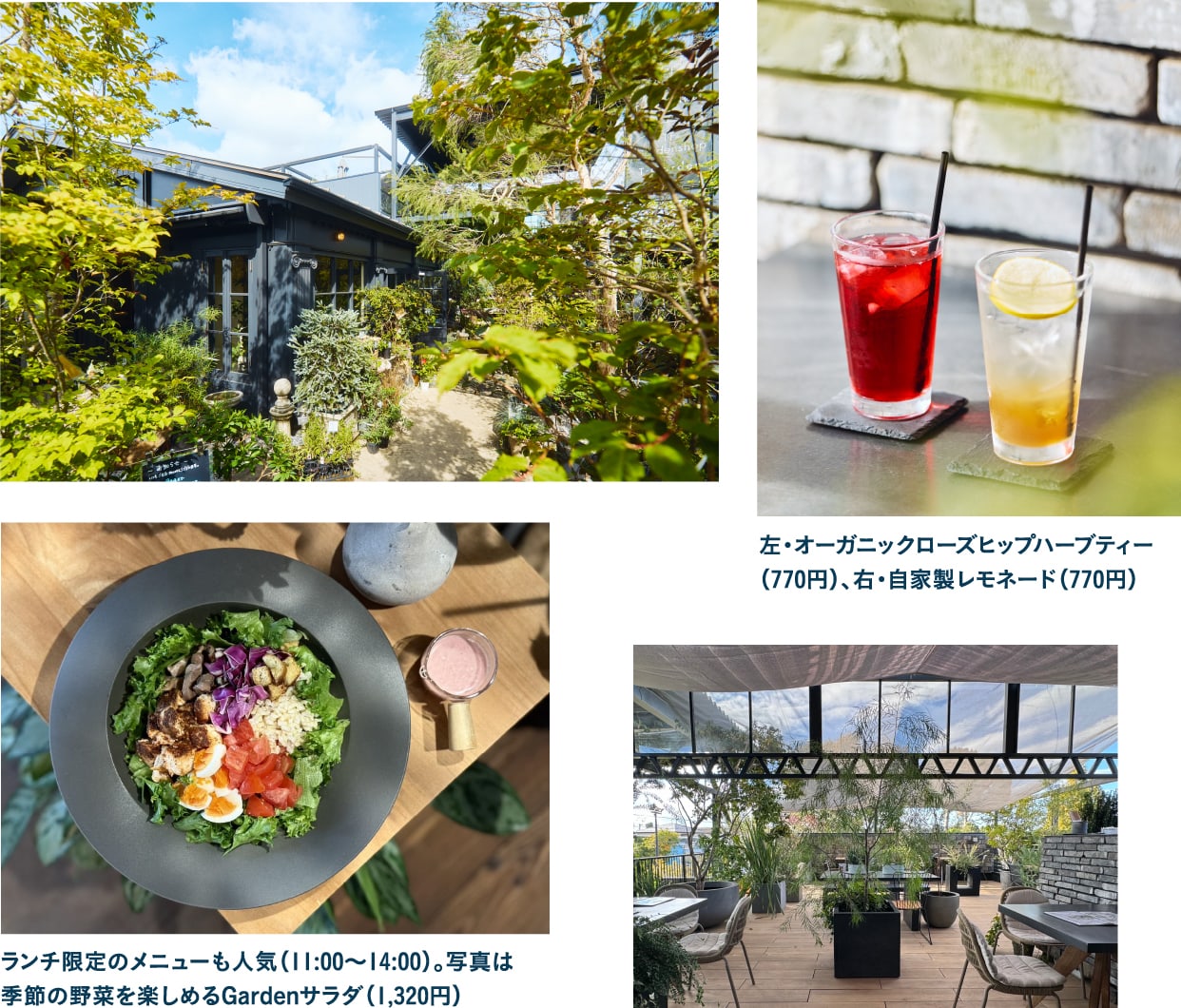 T-Garden