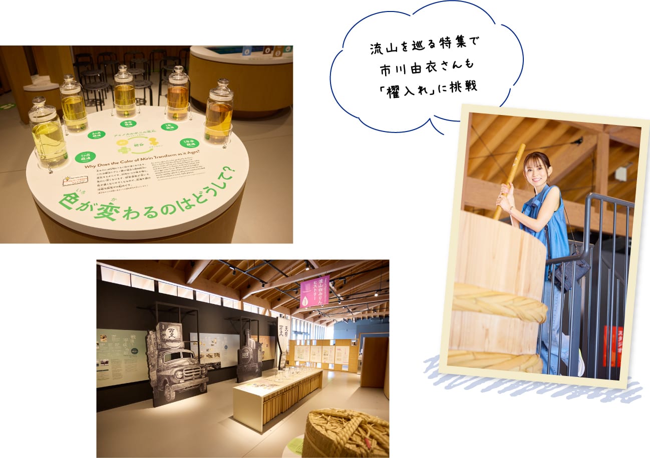 流山を巡る特集で市川由衣さんも「櫂入れ」に挑戦