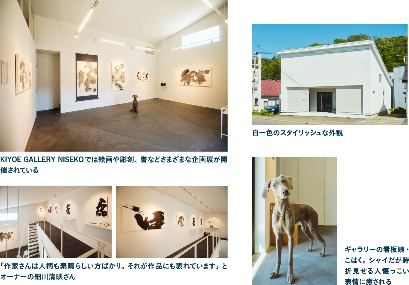 13:00 KIYOE GALLERY NISEKOでニセコのアート鑑賞