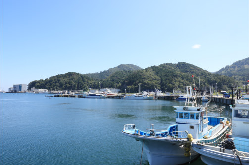 女川港の景色