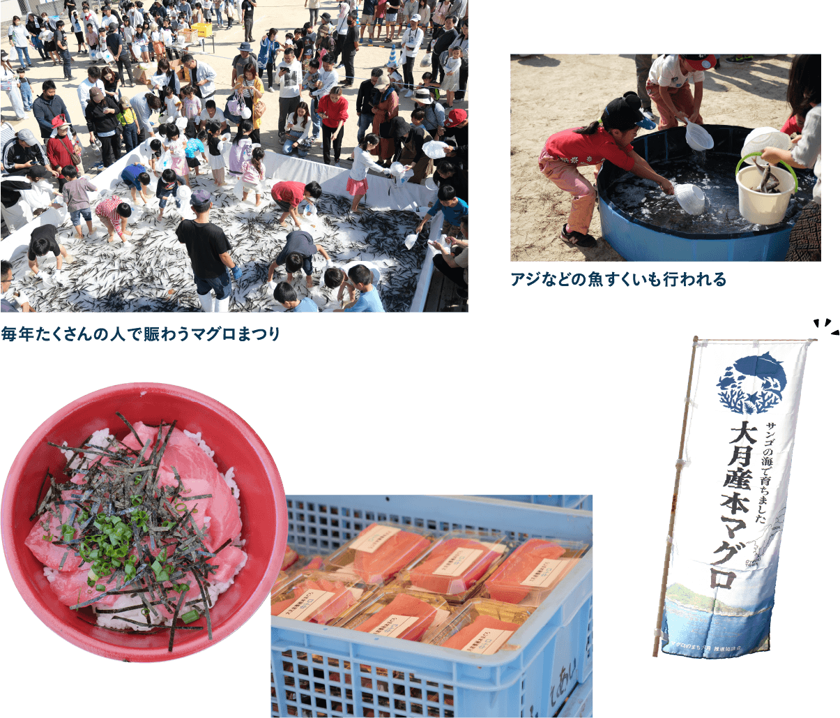 天然物を超える大月産本マグロ