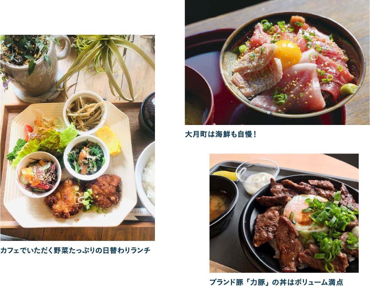カフェごはんに豚丼、海鮮丼……地元食材を味わうランチを