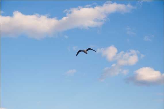 佐野ひなこ インタビュー