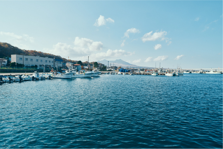 佐野ひなこ インタビュー