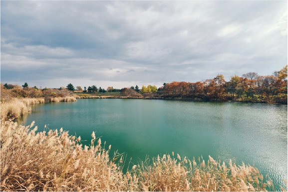 佐野ひなこ インタビュー
