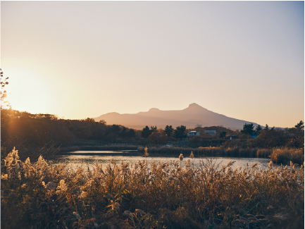 佐野ひなこ インタビュー