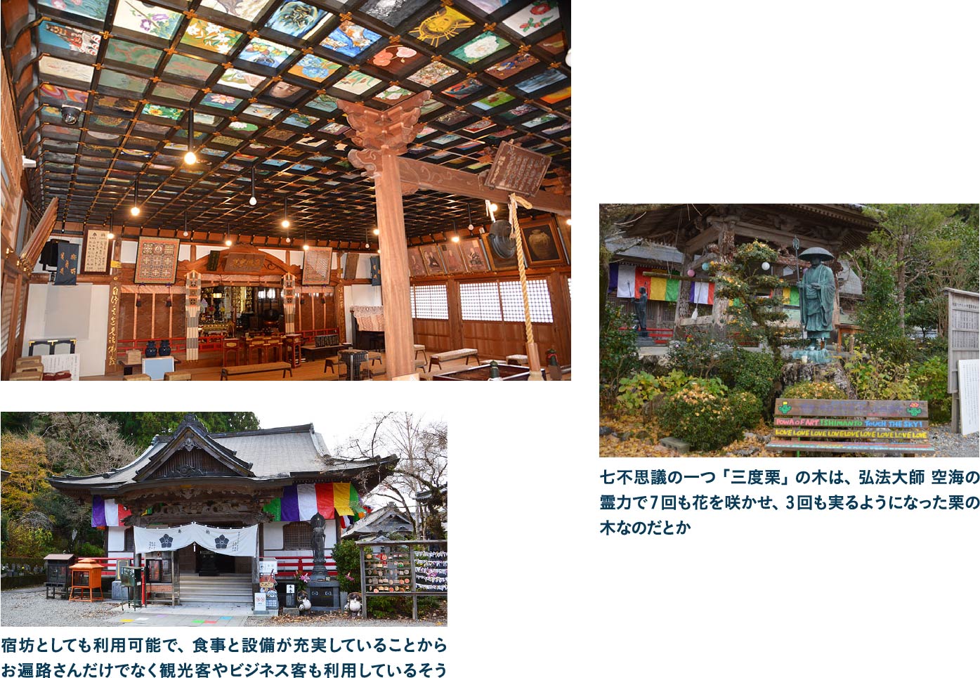 岩本寺本堂の天井を埋め尽くす575枚の板絵に感動