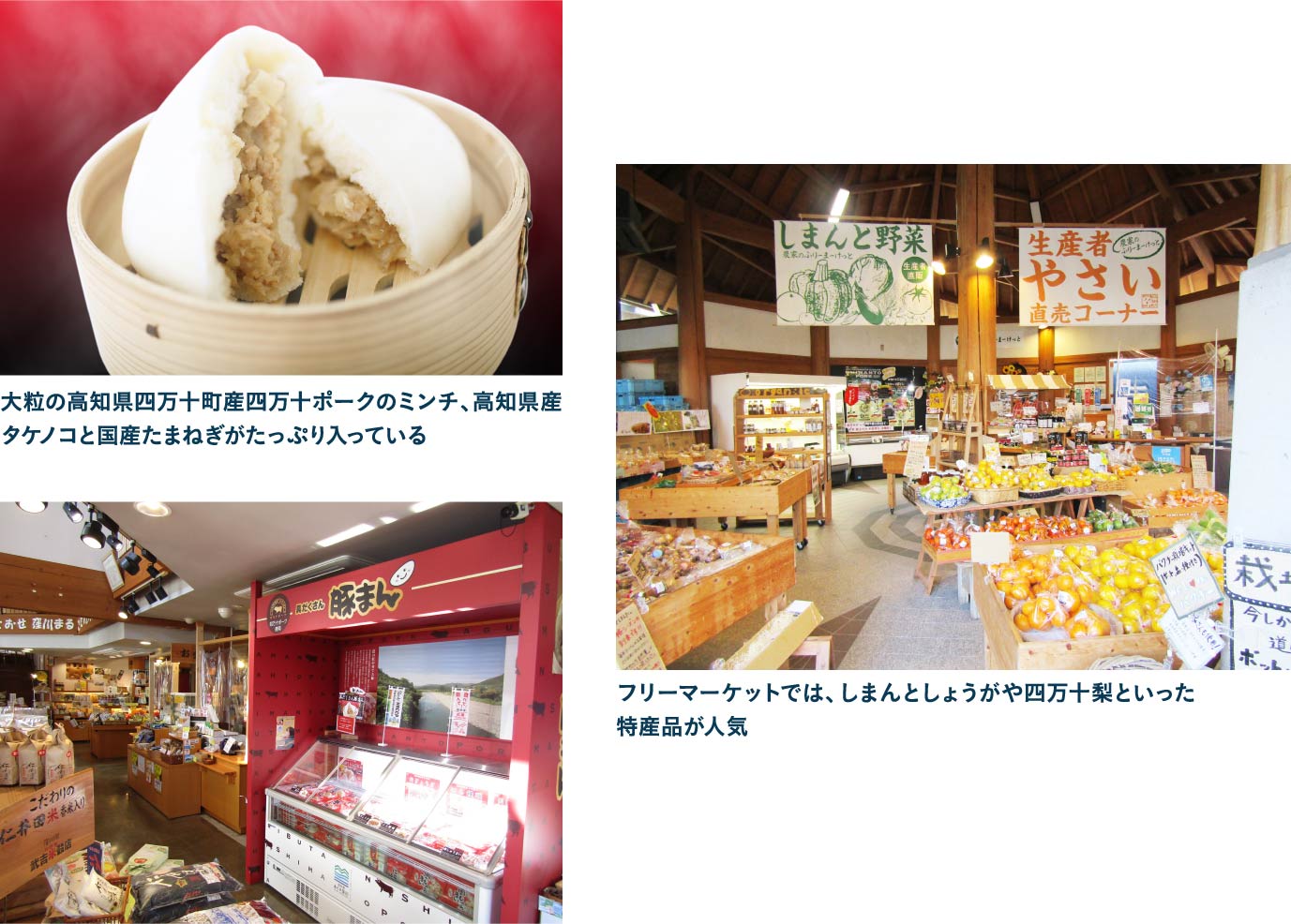 道の駅 あぐり窪川でおみやげを品定めお目当ては道の駅オリジナル商品！