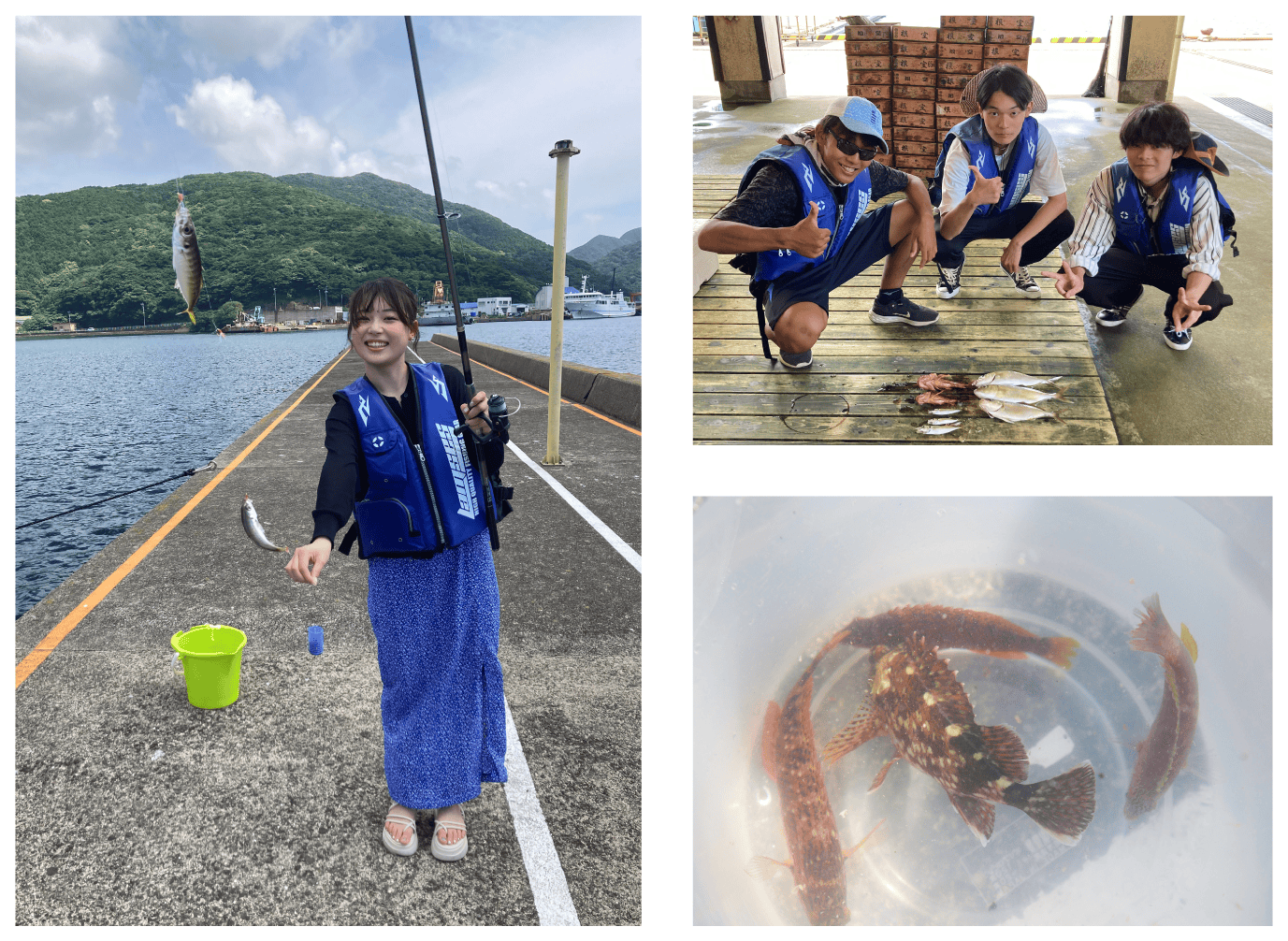 沖防波堤釣り体験