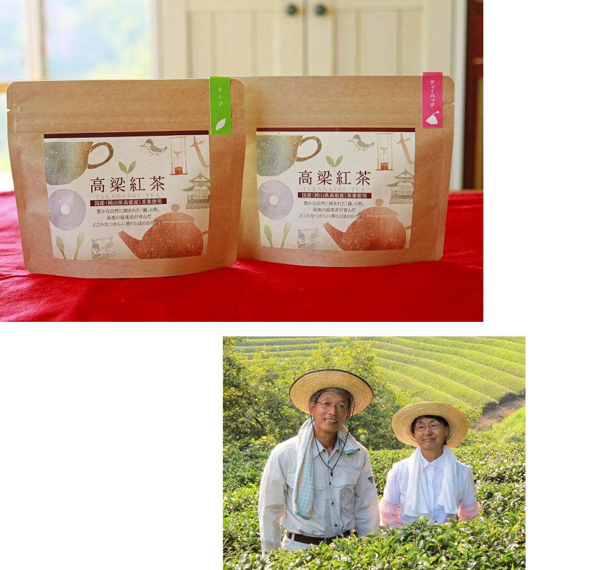 高梁紅茶 藤田泉さん（百姓のわざ伝承グループ） 高梁市の自然が生み出す繊細な味わいの和紅茶