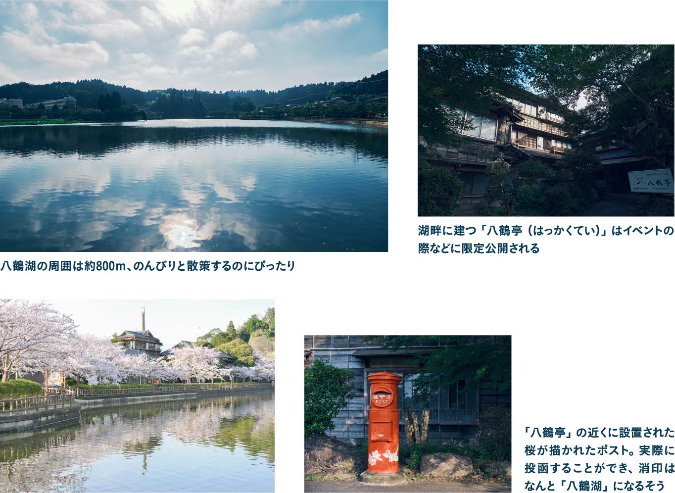 市内屈指の観光スポット桜の名所としても知られる八鶴湖