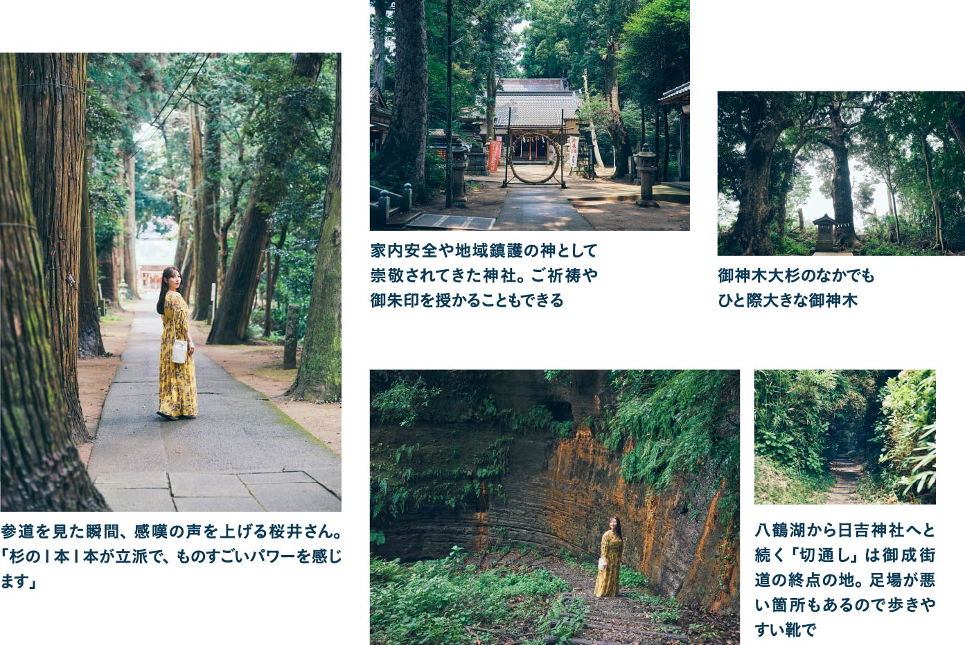 徳川家康も訪れたと伝わる東金の総鎮守・日吉神社