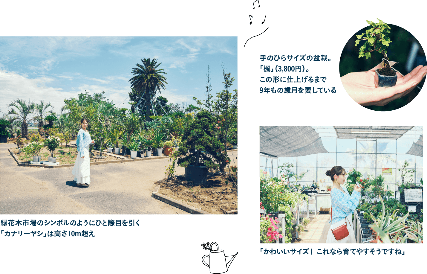 徳川家康ゆかりの植木職人がルーツ「植木のまち」として栄えた東金市