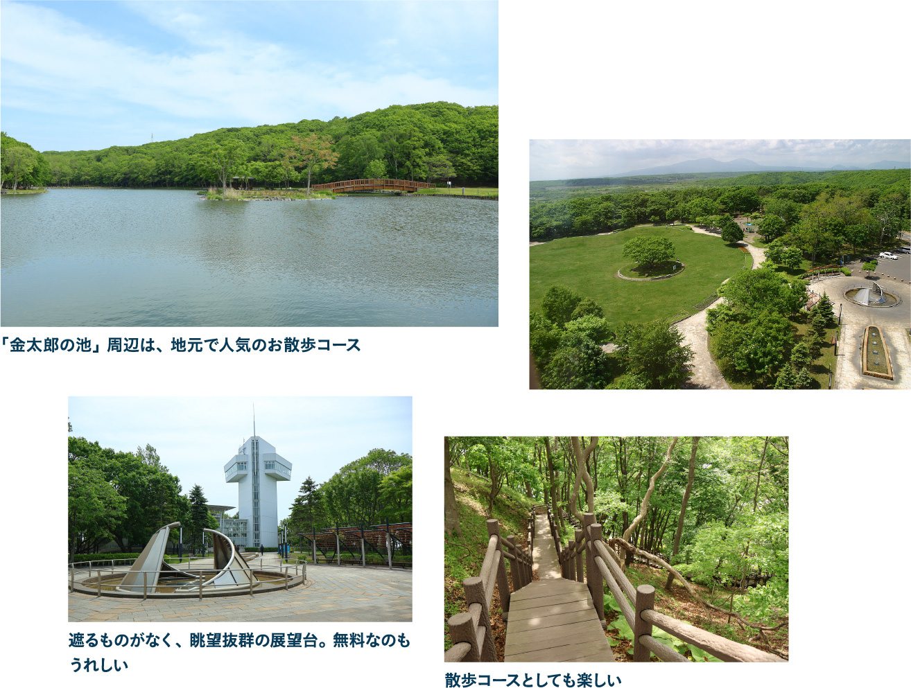 緑ケ丘公園の展望台＆金太郎の池