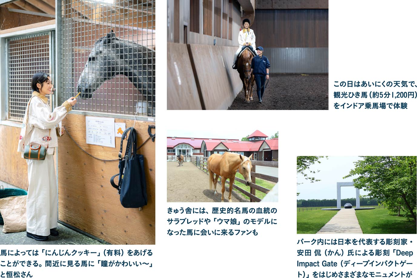 ノーザンホースパーク