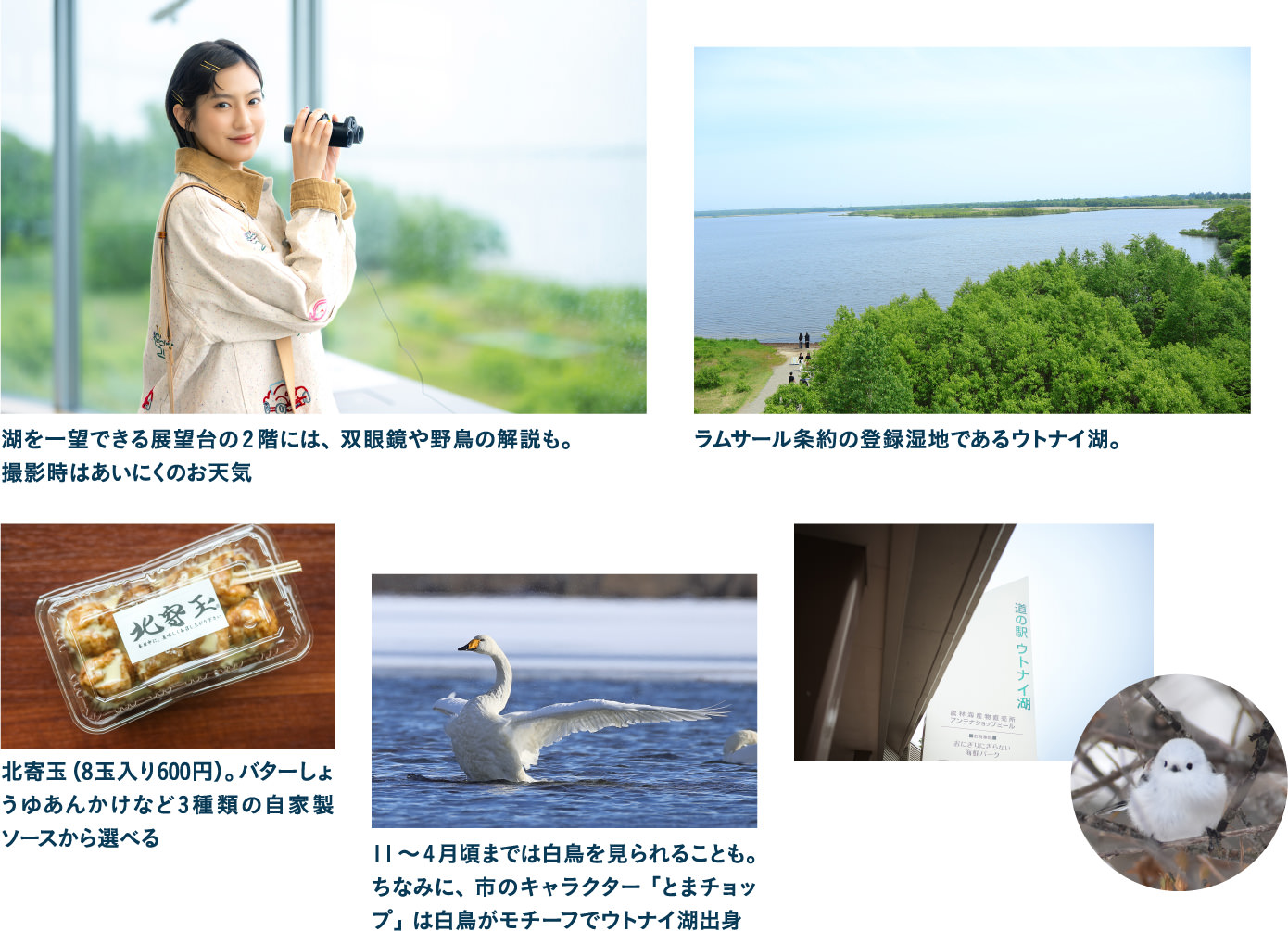 道の駅ウトナイ湖
