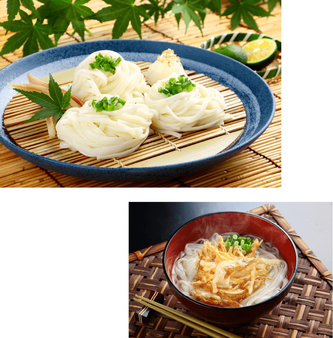 グルメ 氷見うどん のど越しで勝負氷見のごちそう麺