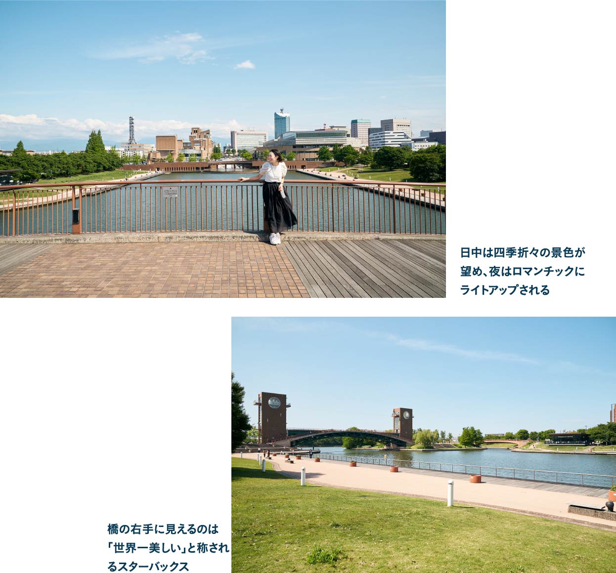 富岩運河環水公園から富山を一望