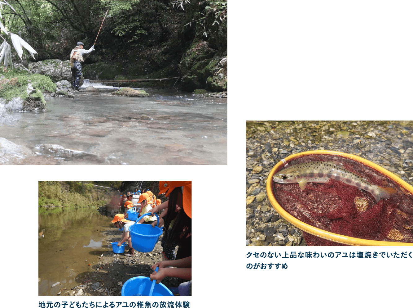 釣り好きにうれしいアユ、アメゴの川釣り