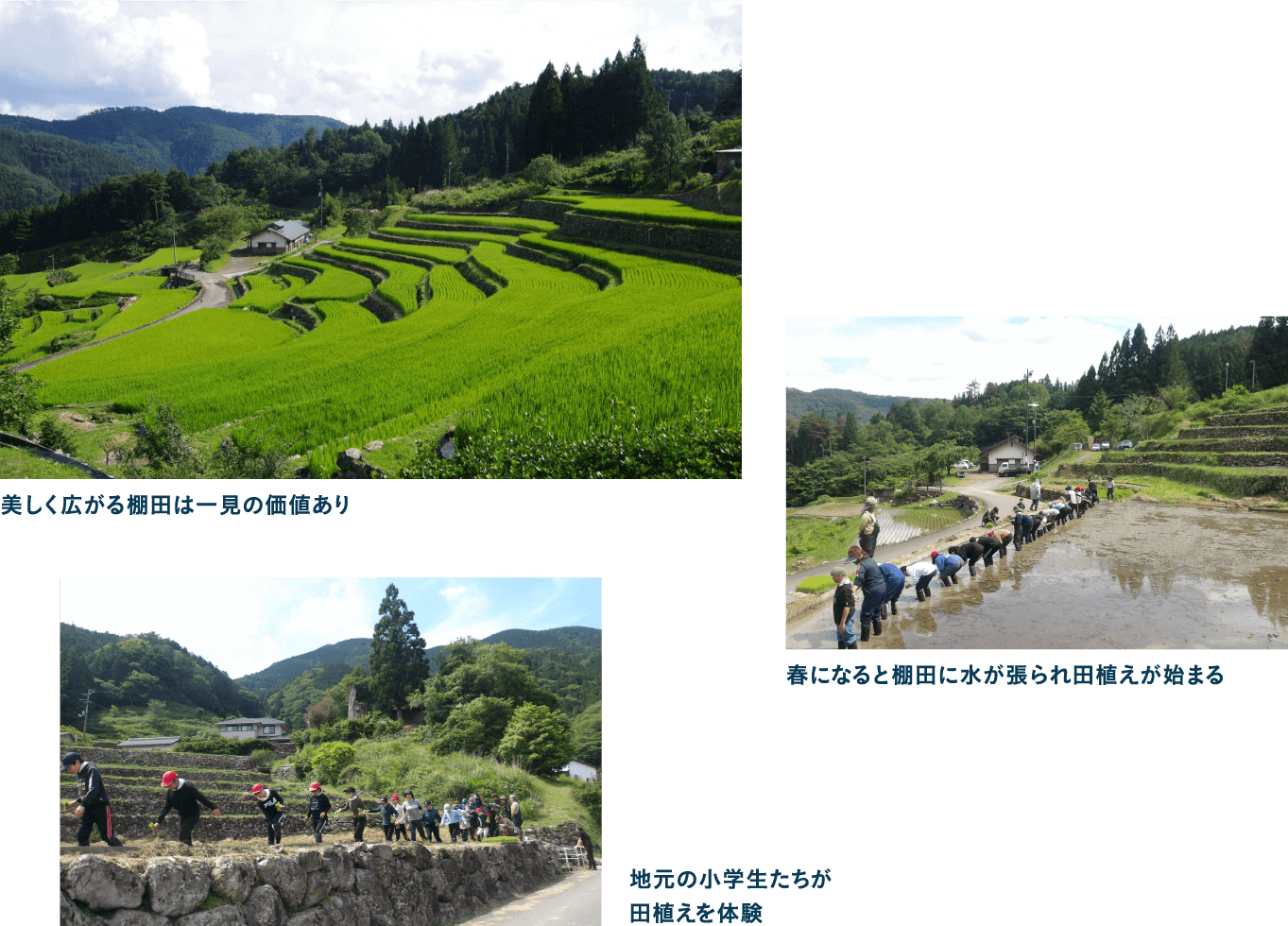 作家・司馬遼太郎が絶賛 神在居の千枚田