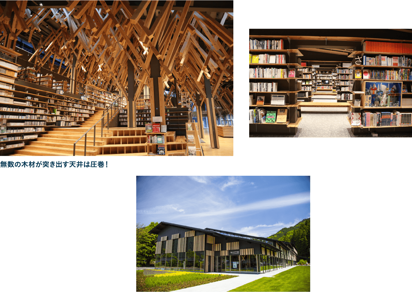 森林浴気分で読書ができる雲の上の図書館