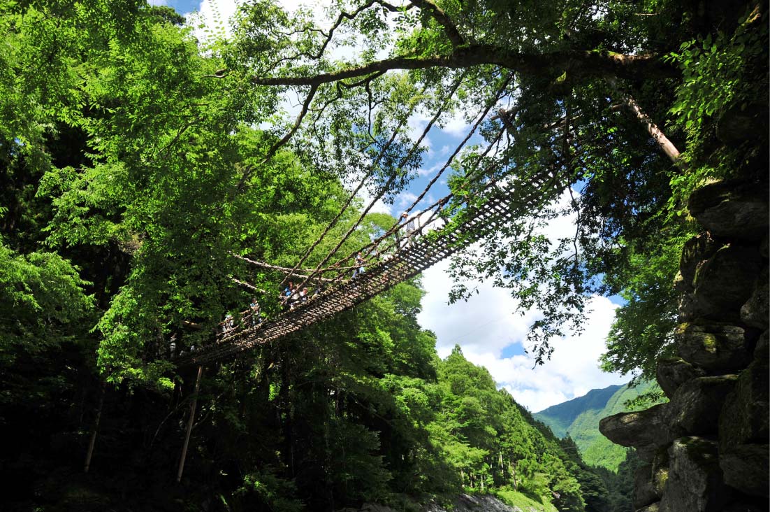 追手から逃れるためいつでも切り落とせるようにかずらという植物を使ってかけたという平家伝説ゆかりの「かずら橋」