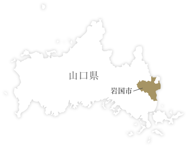 山口県岩国市