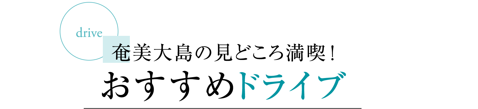 奄美大島の見どころ満喫！おすすめドライブ