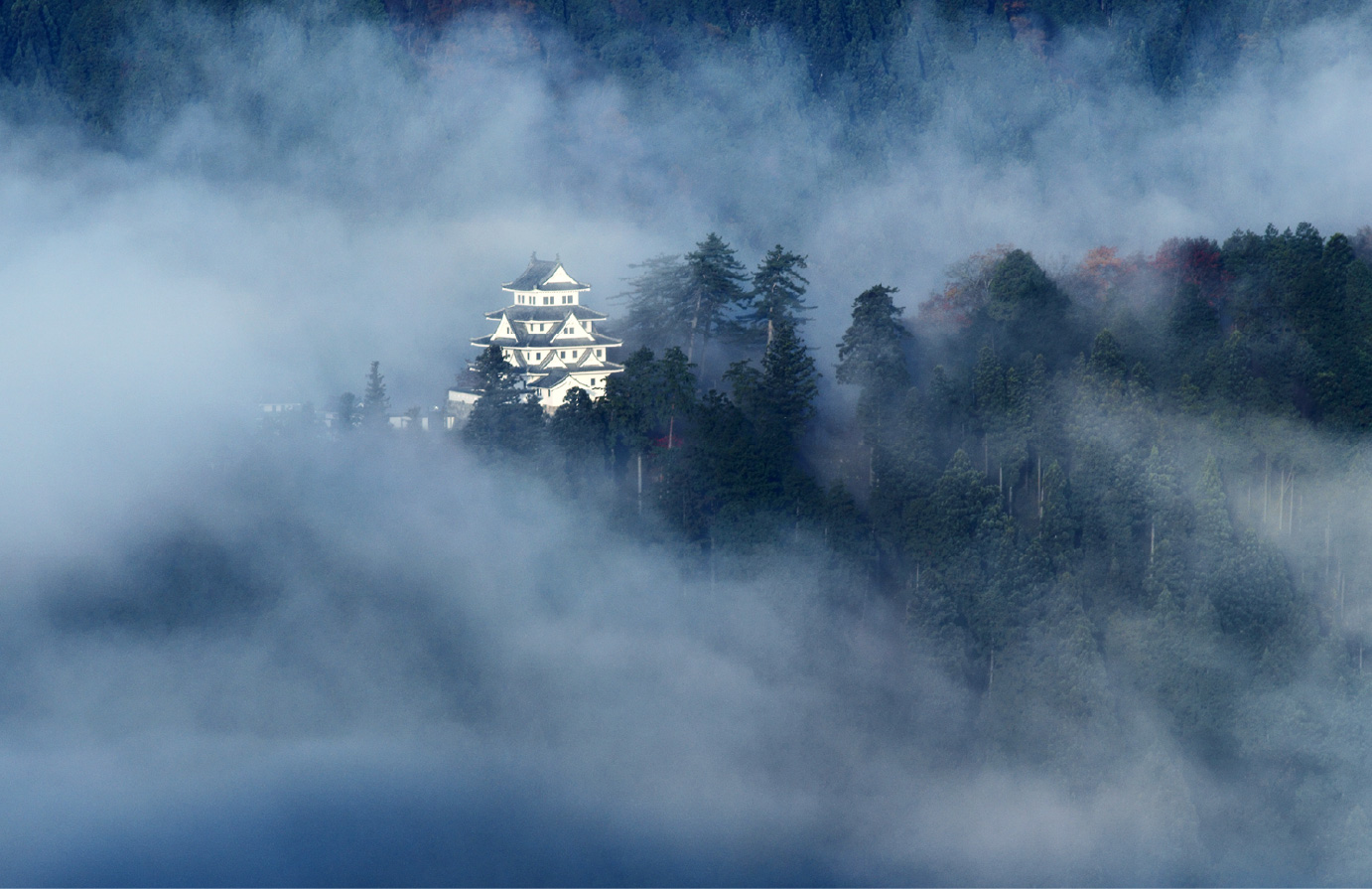 朝霧に包まれた幻想的な風景から「天空の城」として一躍有名になった郡上八幡城