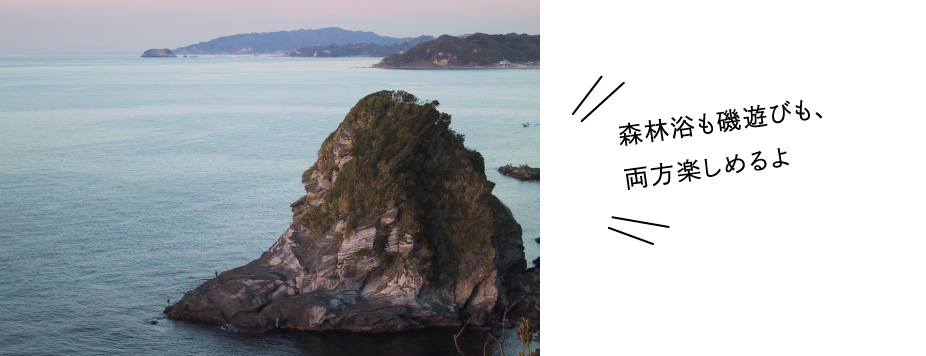 大房岬自然公園