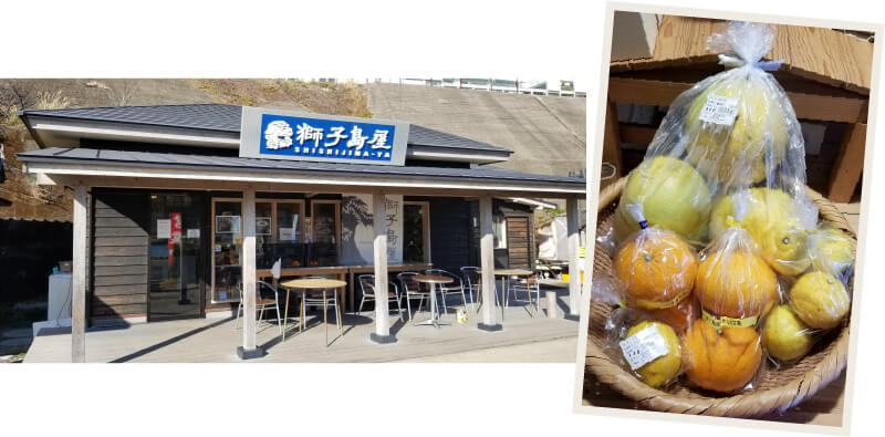 獅子島屋では柑橘類はじめ、島のお土産も売っています