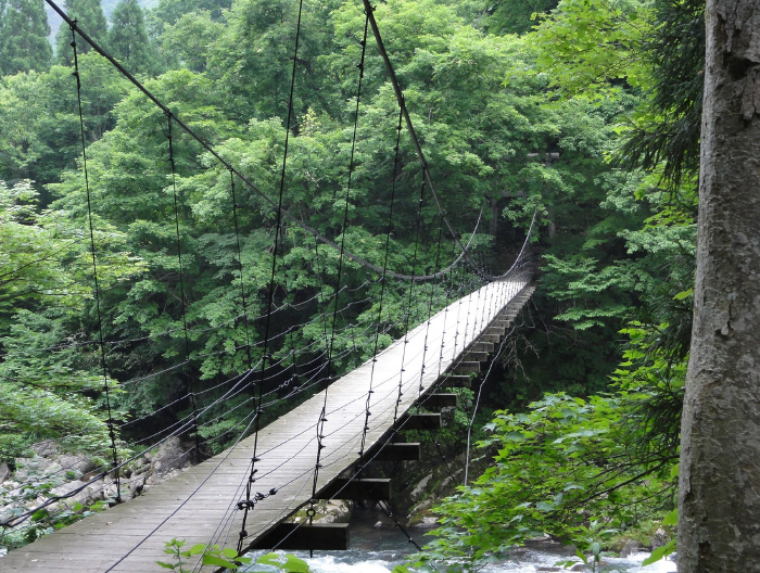 中津川渓谷を彩る天然木の吊り橋