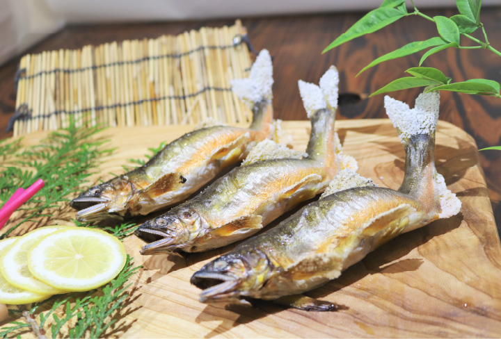 ヤナ場で獲った天然鮎を自然のなかで味わう幸せ