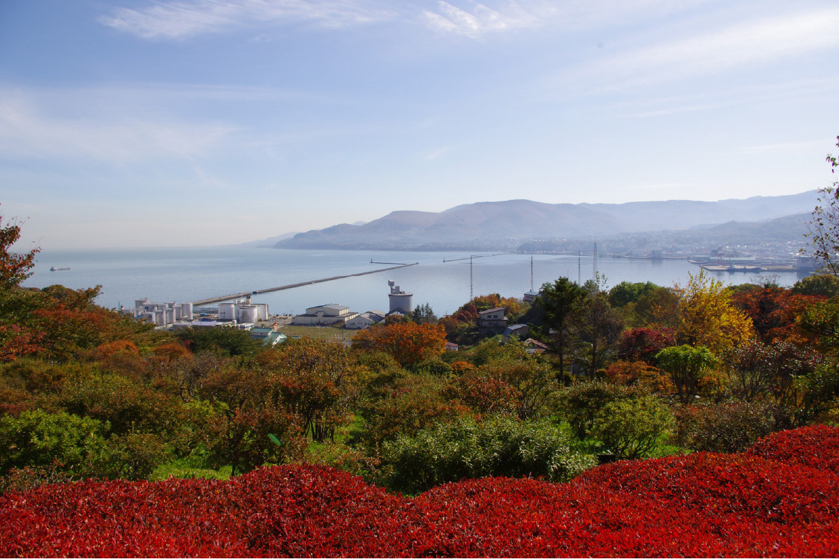 小樽の港が一望できる手宮公園からの絶景に癒される