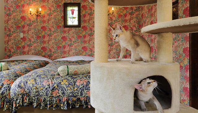 全室露天風呂付客室　ペットと泊まれる英国アンティーク調ホテル 別邸 石の家