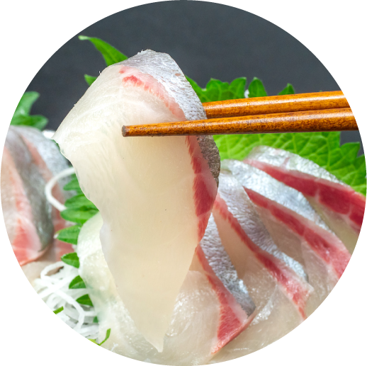須崎の魚