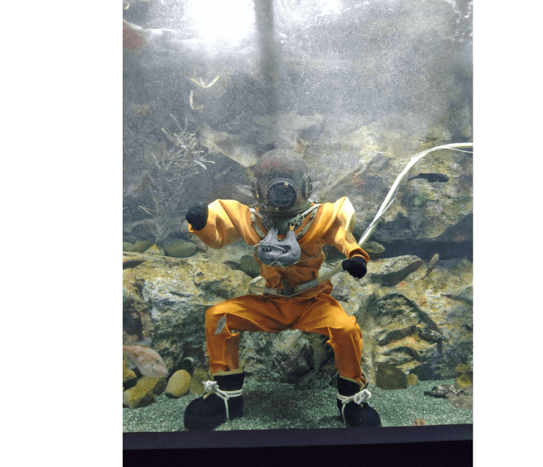 「南部潜り」「海女の素潜り」の実演を見学できる水族館