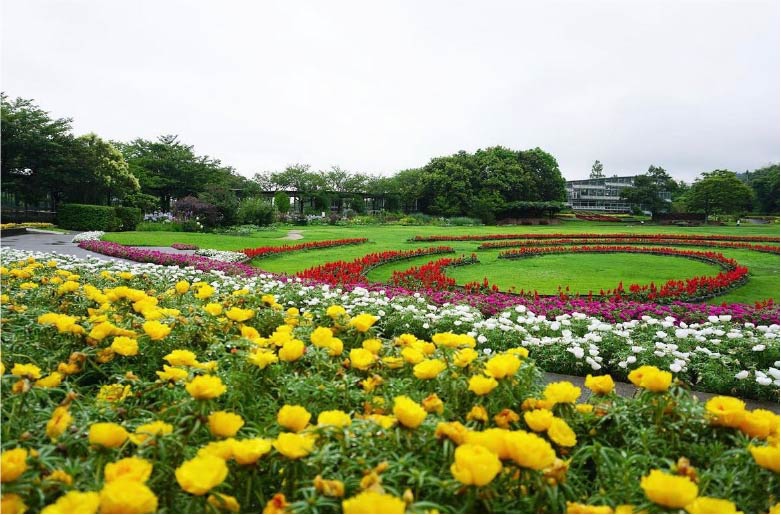 島根県花ふれあい公園 しまね花の郷