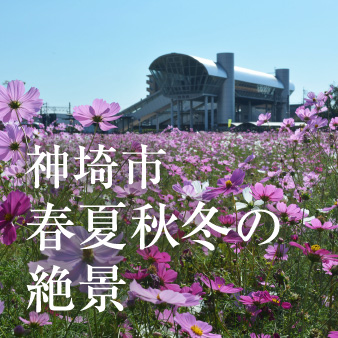 いつ訪れても美しい 神埼市春夏秋冬の絶景