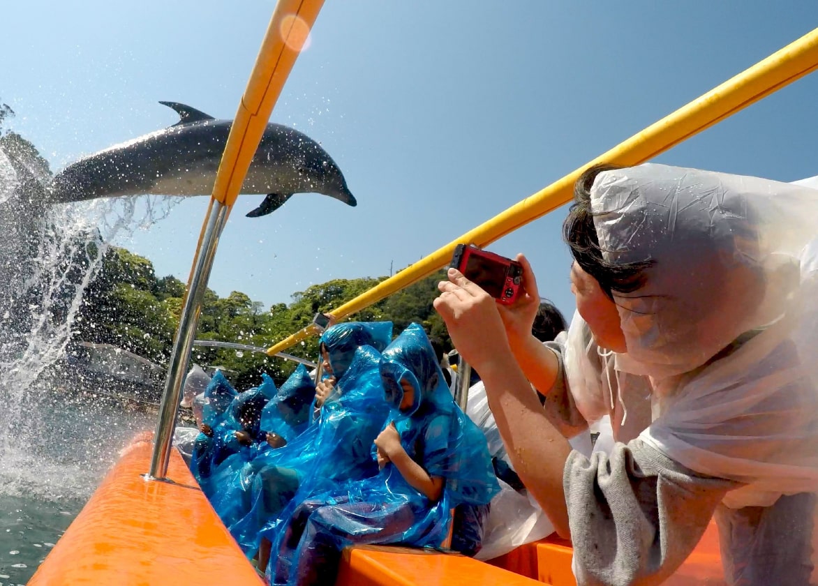 下田海中水族館