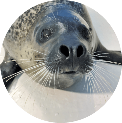 下田海中水族館