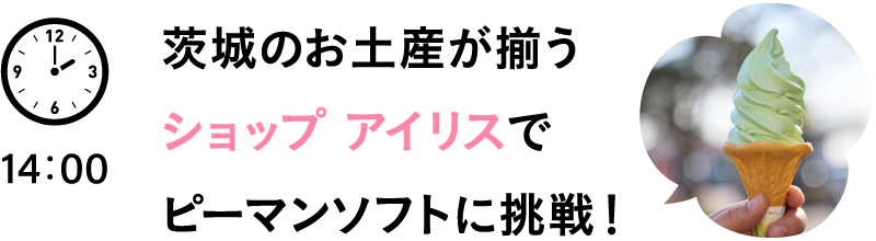 茨城のお土産が揃うショップ アイリスでピーマンソフトに挑戦！