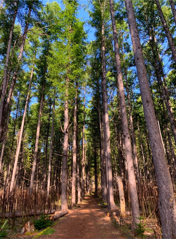 中島散策
