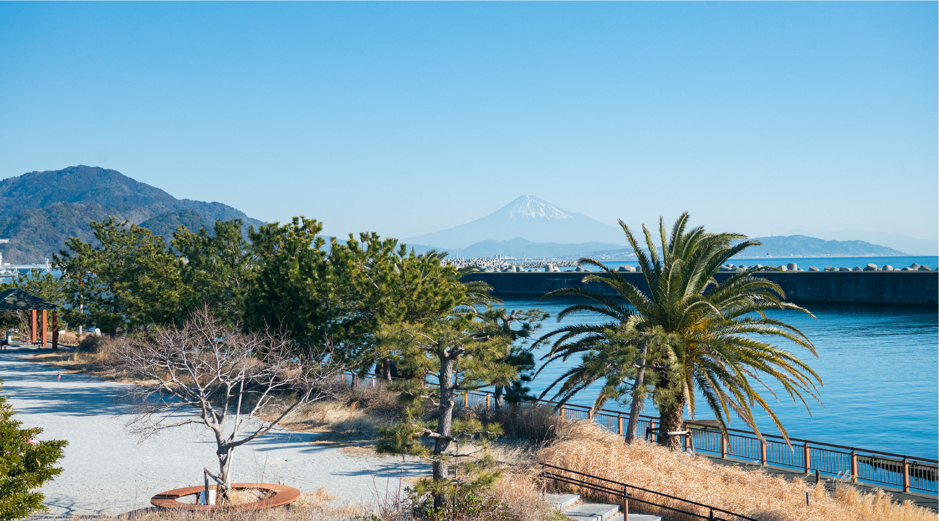 親水公園ふぃしゅーな