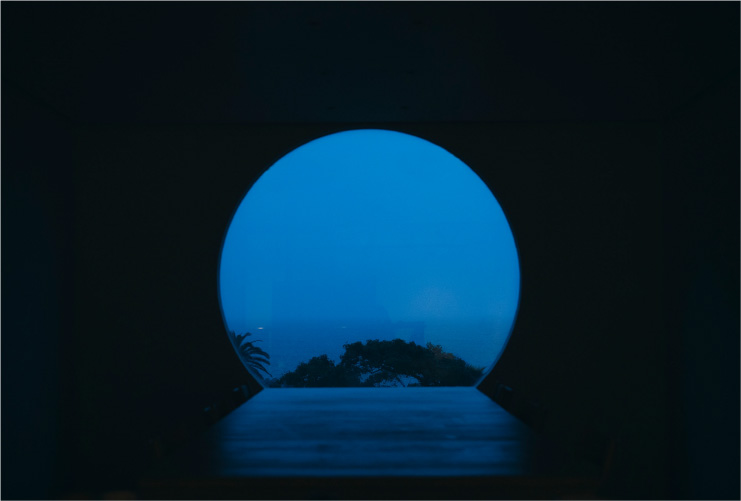 月と鮪 石上