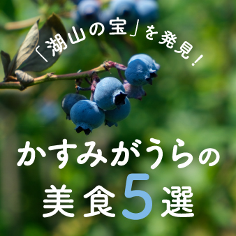 かすみがうら市コラム
