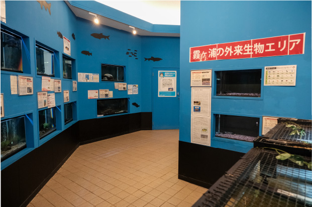 かすみがうら市水族館