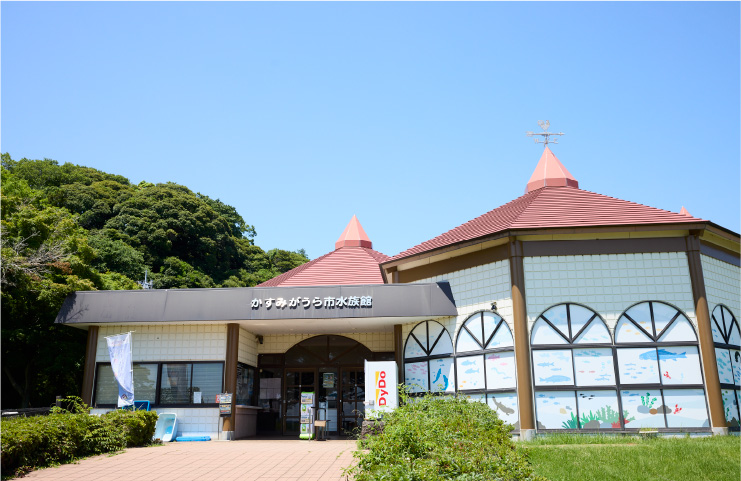 かすみがうら市水族館